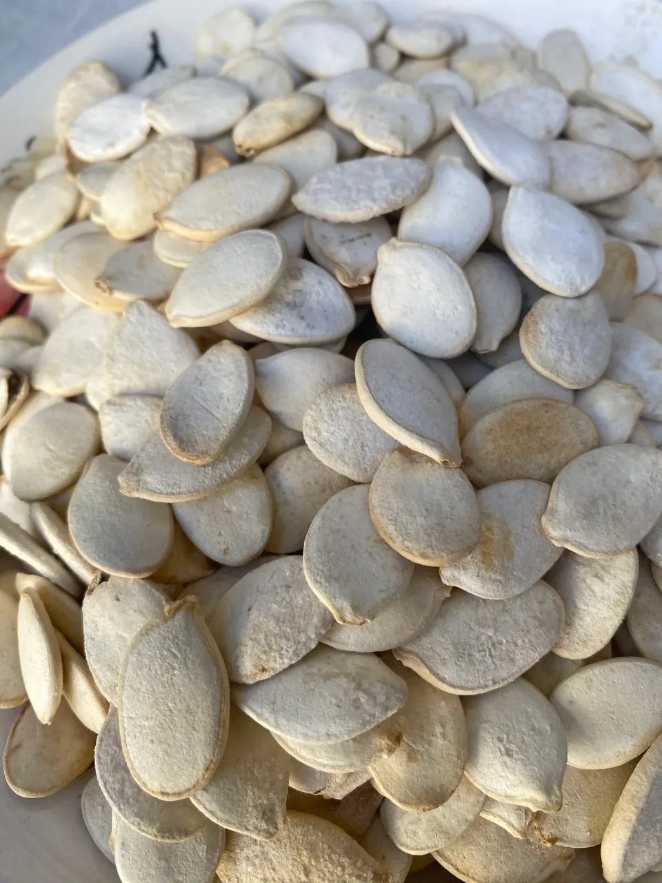 زاريا بلان مملّح